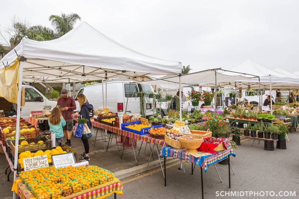 Wander with Tom Travel Blog San Diego Tourism schmidt photo - 38