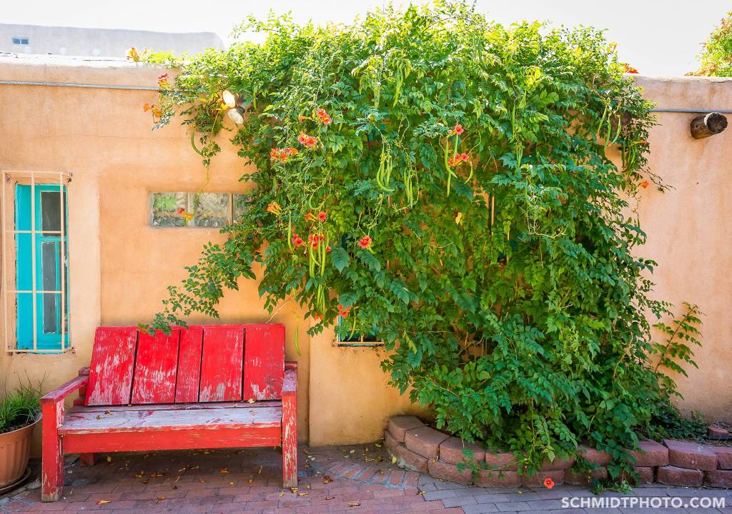 Albuquerque, New Mexico (2016)