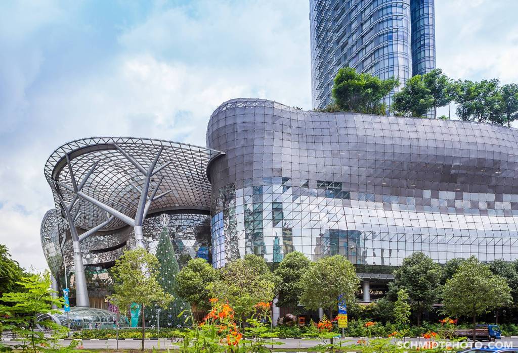 What to Eat in Singapore – Travel w/ Tom & Priscilla - 53