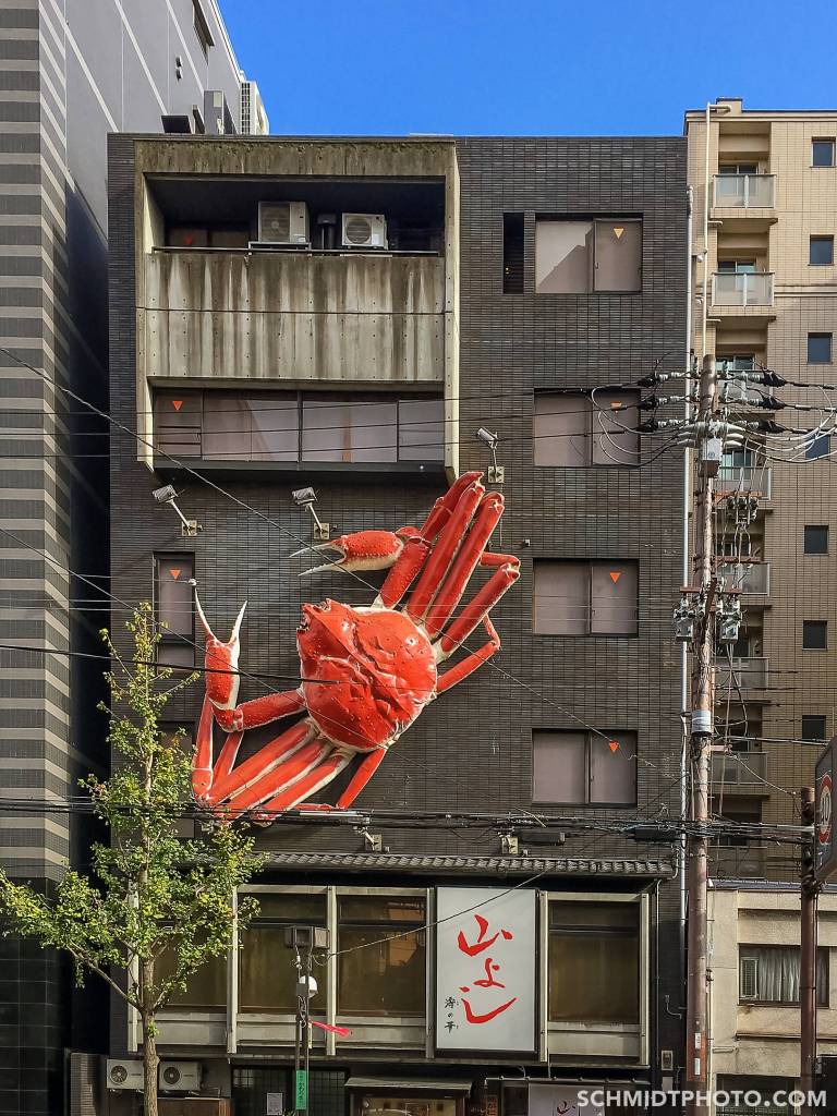 Nishiki Market japan travel with tom and priscilla schmidt - 37