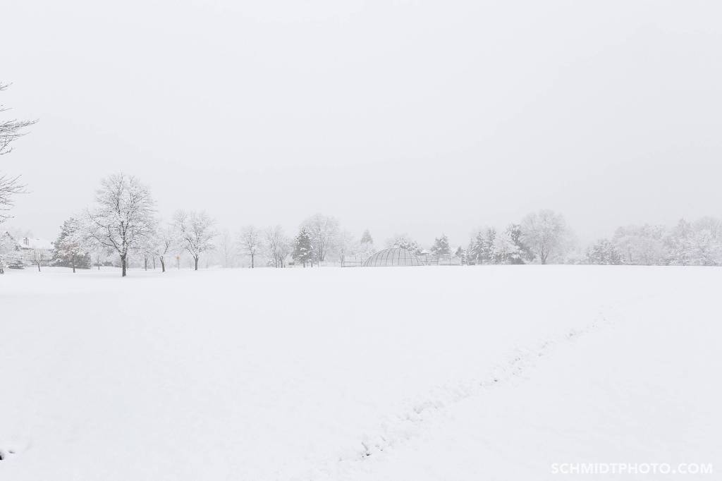 Tom Schmidt Photo in Buffalo Grove Chicago
