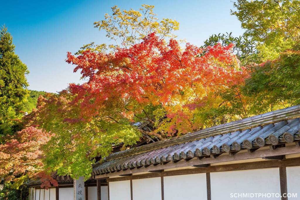 many zen gardens hidden in these temples - 48