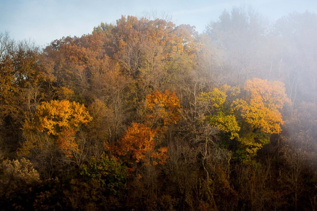 Wisconsin and Iowa fall landscapes&nbsp;(2018)