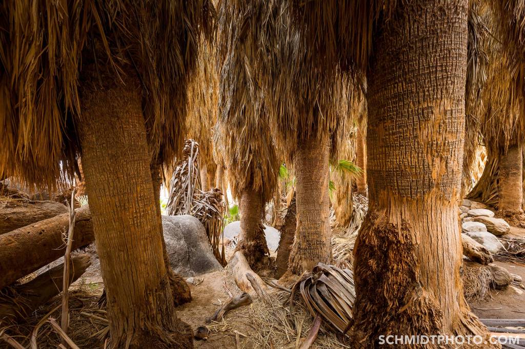 Wander with Tom Travel Blog San Diego Tourism schmidt photo - 41