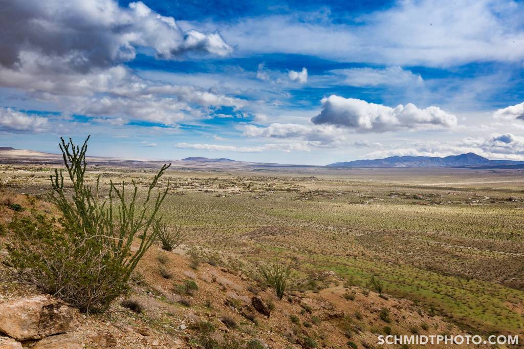 Wander with Tom Travel Blog San Diego Tourism schmidt photo - 50