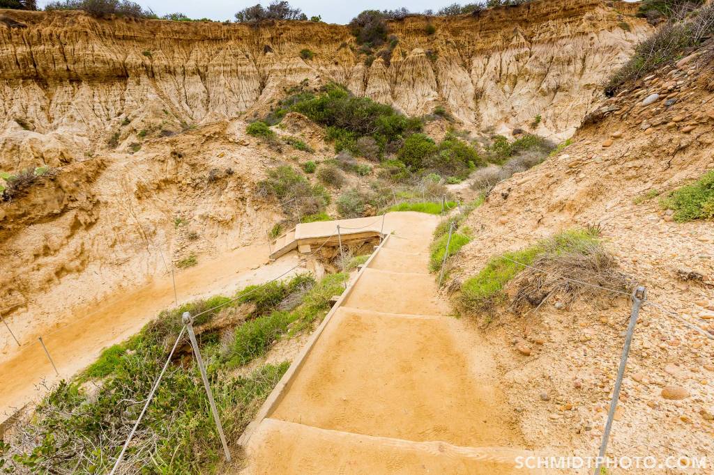 Wander with Tom Travel Blog San Diego Tourism schmidt photo - 03