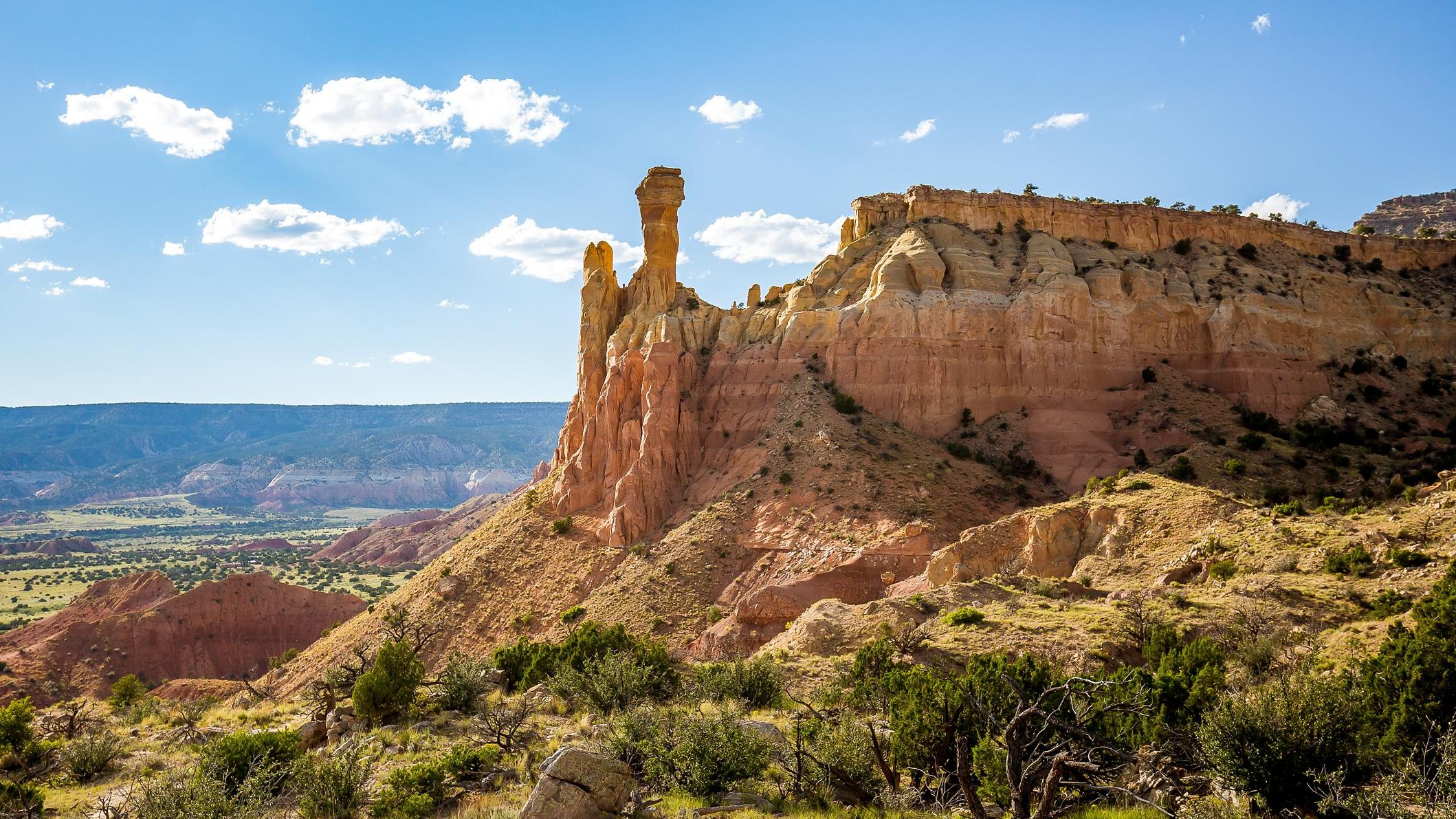 schmidt-photo-new-mexico-albuquerque-tom-priscilla_2109