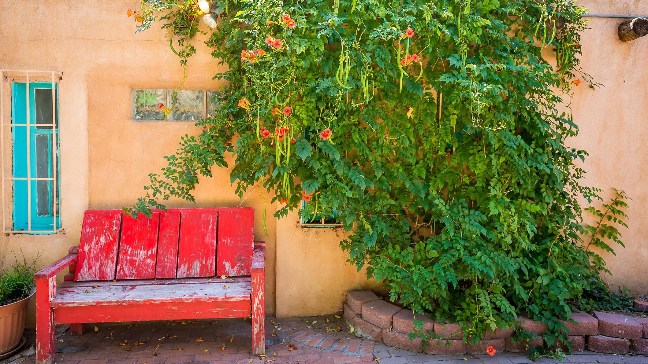 schmidt-photo-new-mexico-albuquerque-tom-priscilla_2012