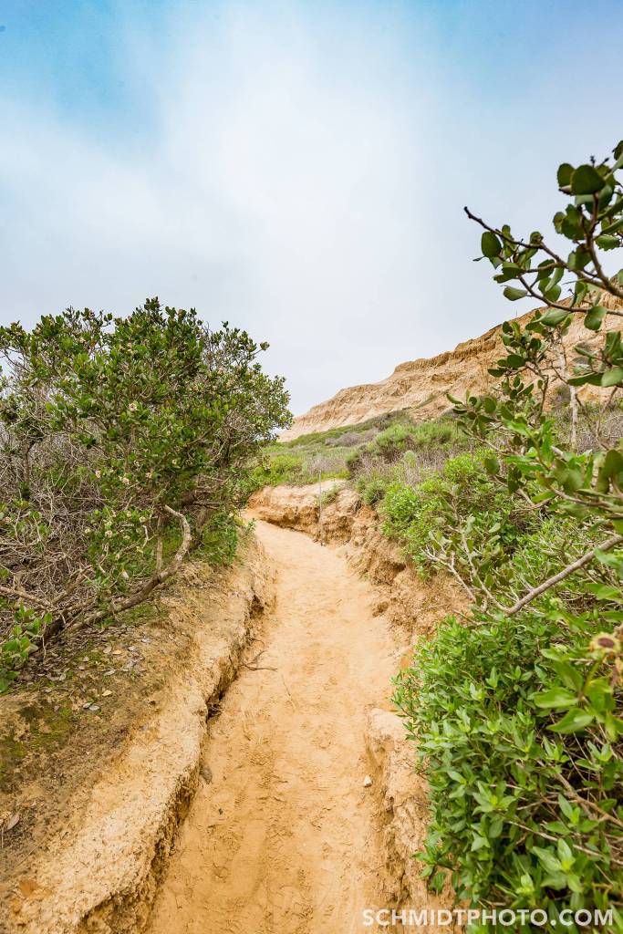 Wander with Tom Travel Blog San Diego Tourism schmidt photo - 01