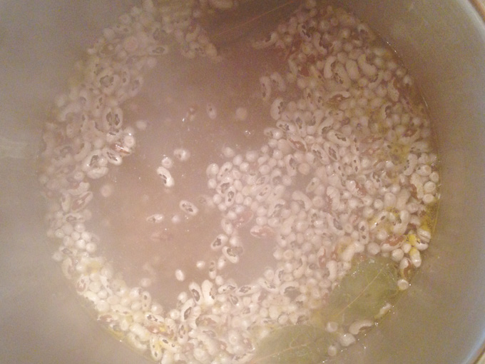 Bay Leaf, Olive Oil, Essential cooking skills, basic ingredients