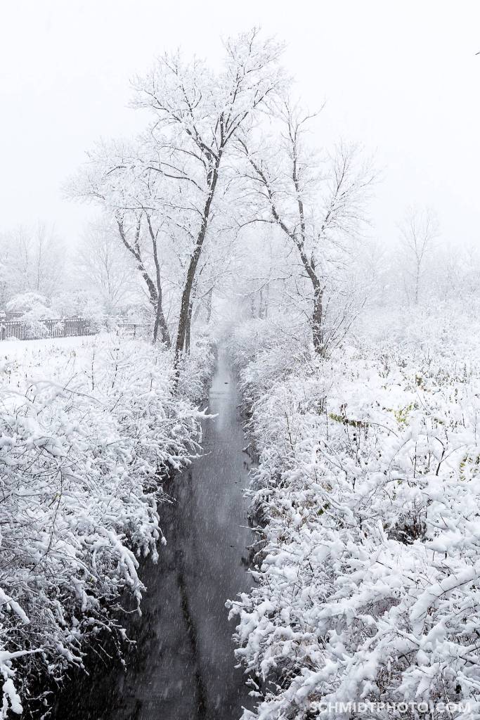 Tom Schmidt Photo in Buffalo Grove Chicagosadf