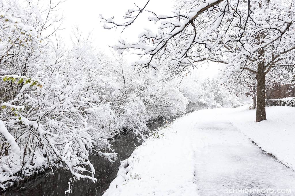 Tom Schmidt Photo in Buffalo Grove Chicago