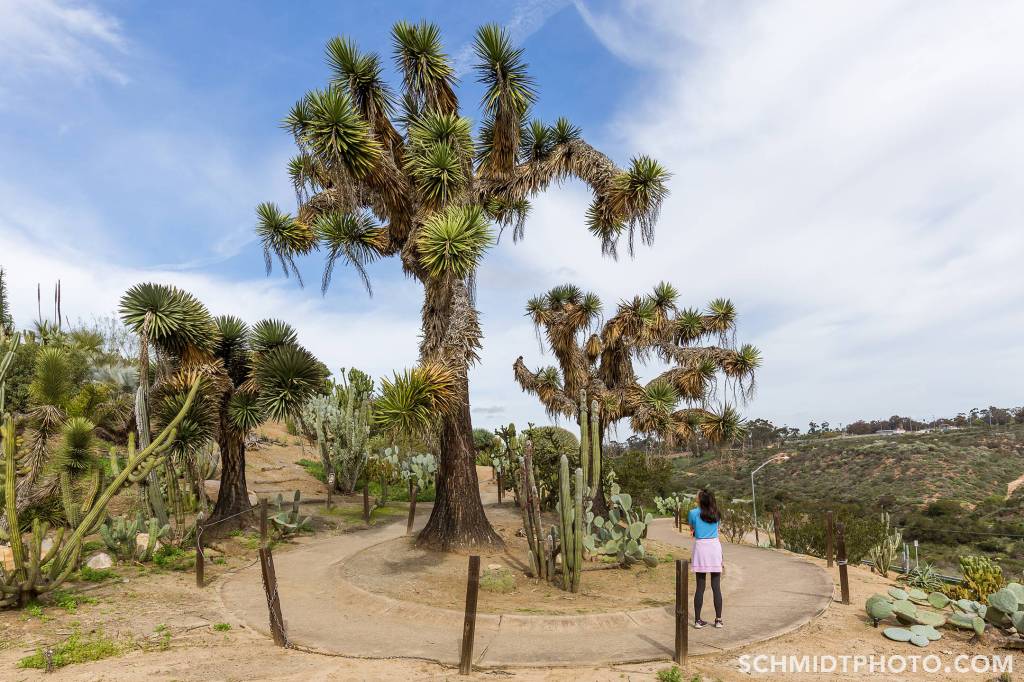 Wander with Tom Travel Blog San Diego Tourism schmidt photo - 34