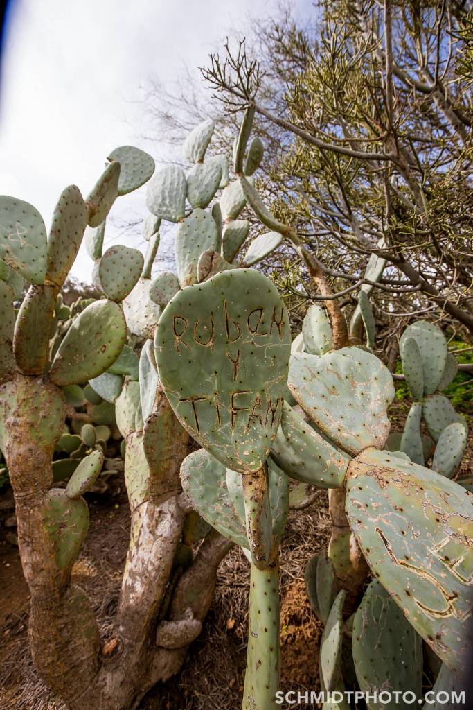 Wander with Tom Travel Blog San Diego Tourism schmidt photo - 35