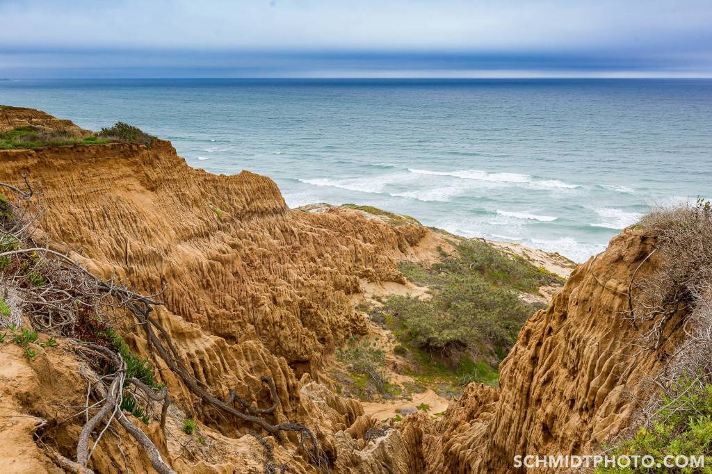 Wander with Tom Travel Blog San Diego Tourism schmidt photo - 58