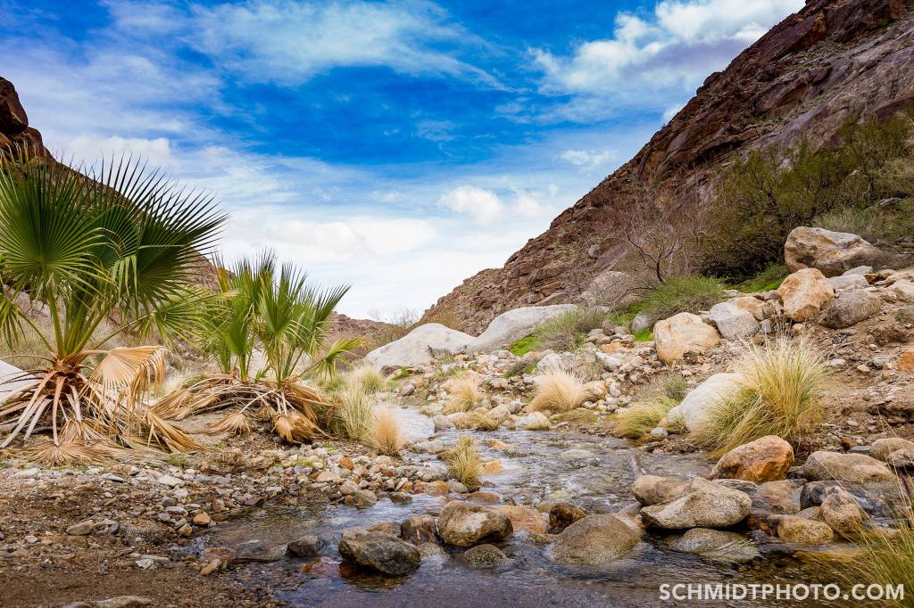 Wander with Tom Travel Blog San Diego Tourism schmidt photo - 44