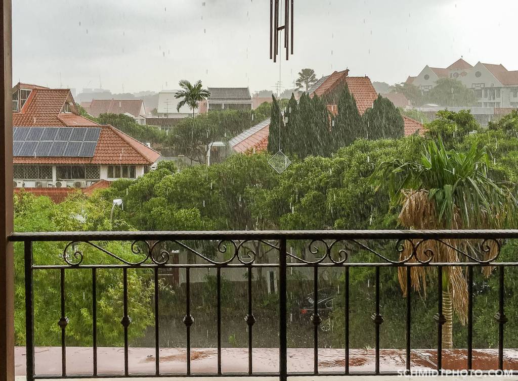 What to Eat in Singapore – Travel w/ Tom & Priscilla - 15