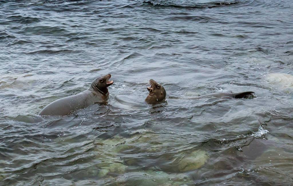 San Diego Tourism Wander with Tom Travel Blog - 37