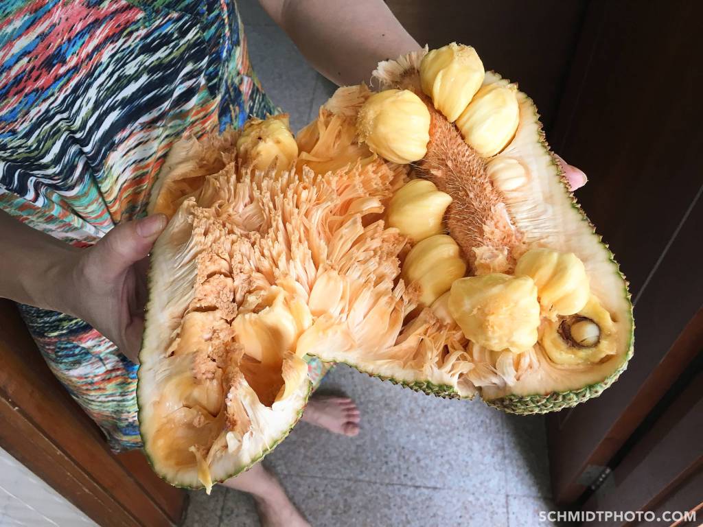 Singapore Island City Travel Blog Wander with Tom Schmidt Priscilla - 00