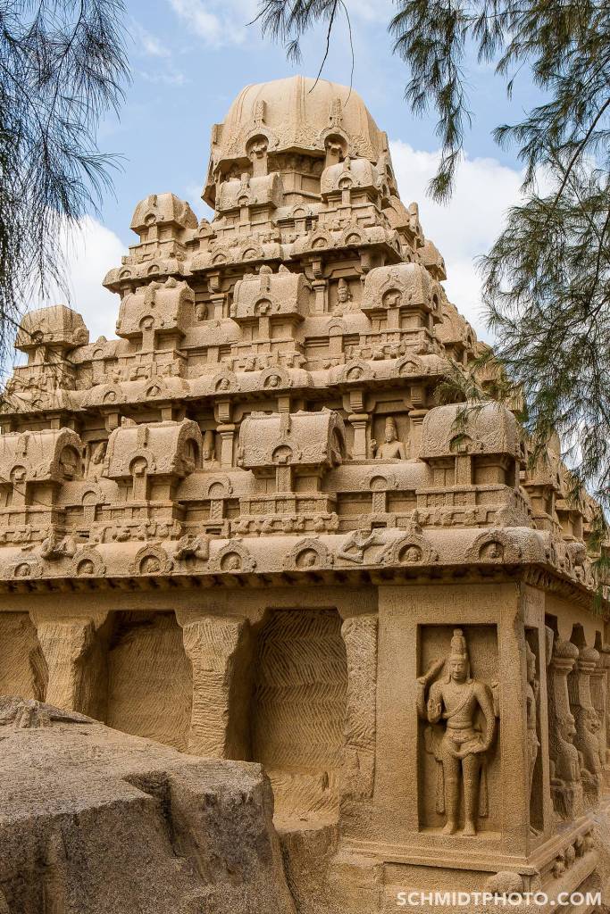 Tom Schmidt Photo India Trip 2015