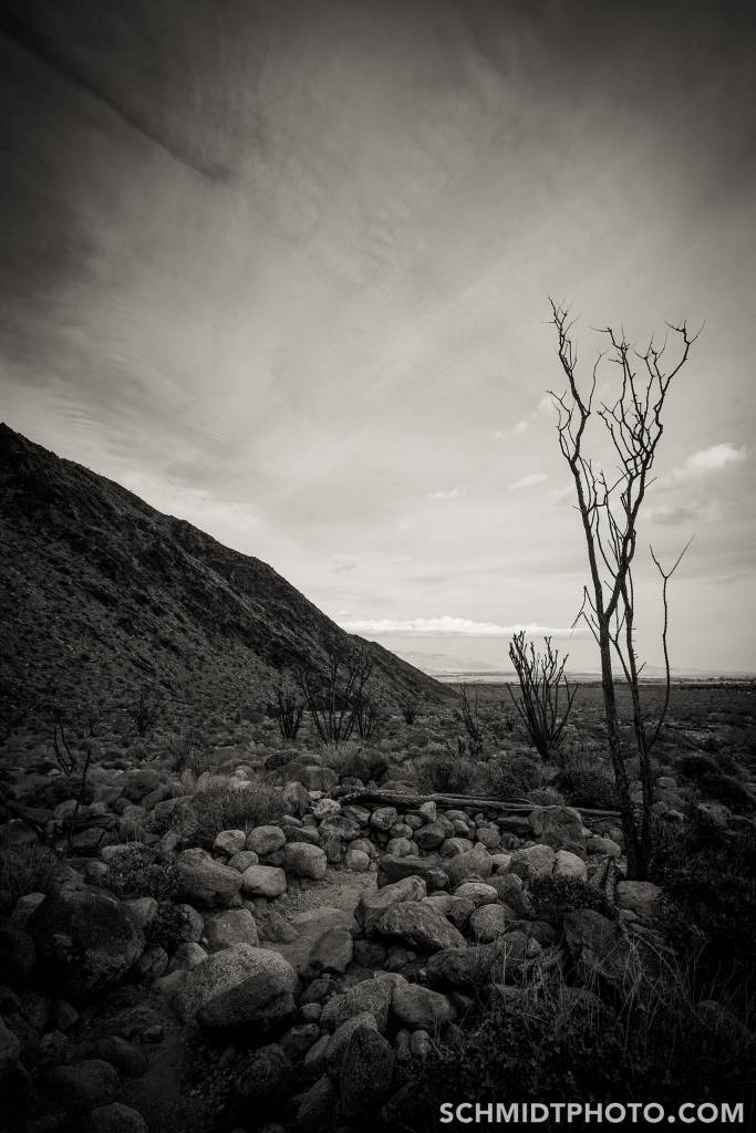 Wander with Tom Travel Blog San Diego Tourism schmidt photo - 40