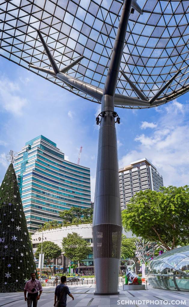 What to Eat in Singapore – Travel w/ Tom & Priscilla - 50