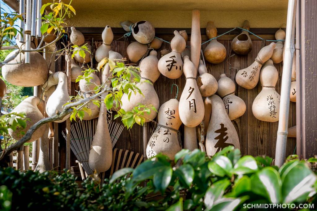 Kyoto travel with tom and priscilla schmidt photo - 42