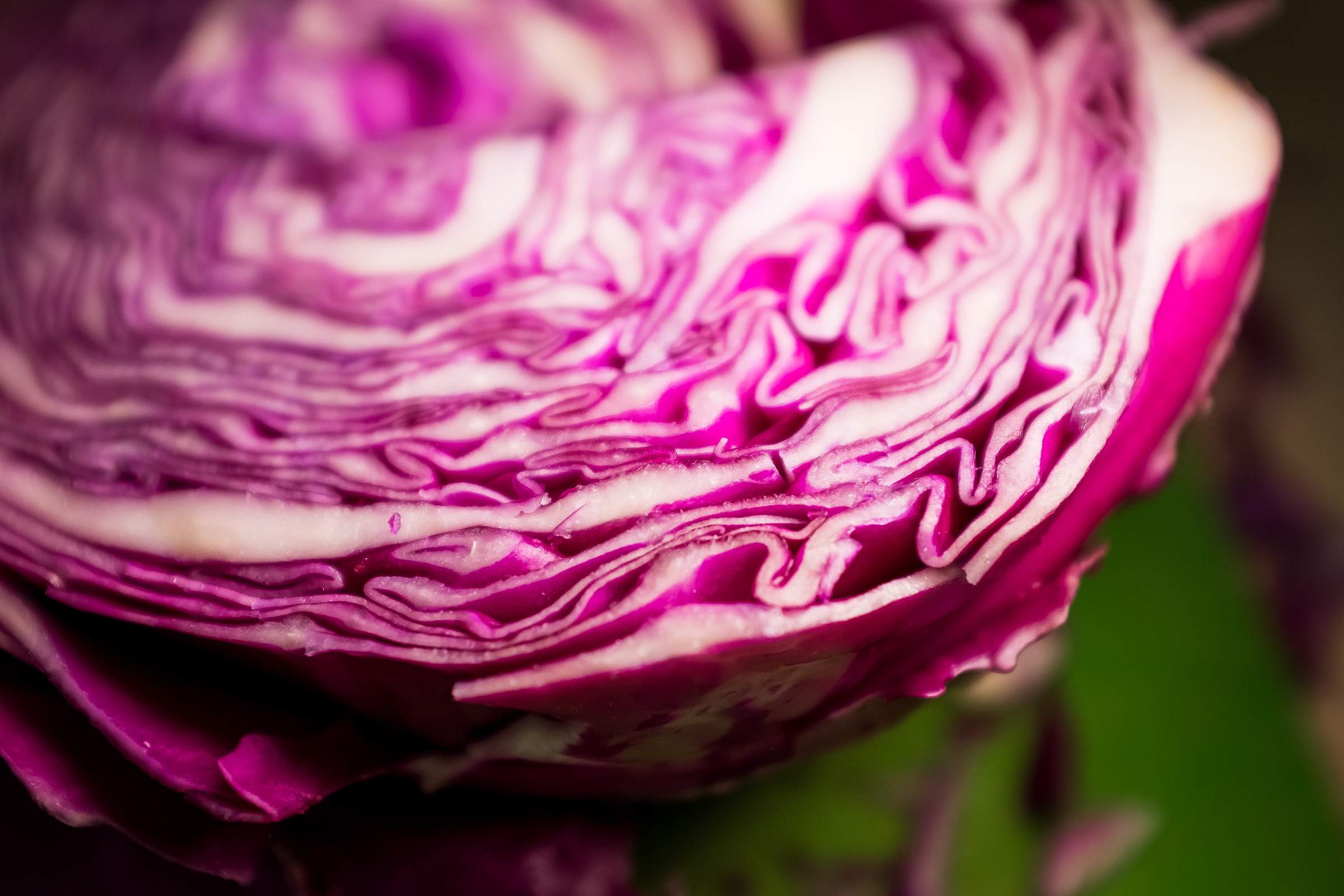 How to cut up red cabbage for easy recipe braised with apples citrus