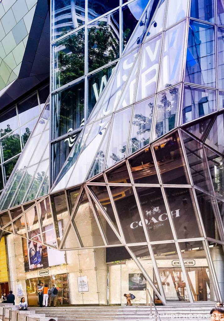 What to Eat in Singapore – Travel w/ Tom & Priscilla - 42