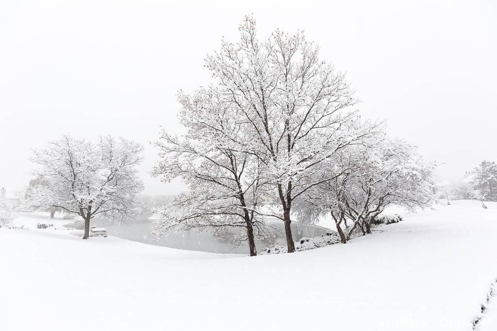 First Snow in Buffalo Grove – Pictures with Tom (2016)