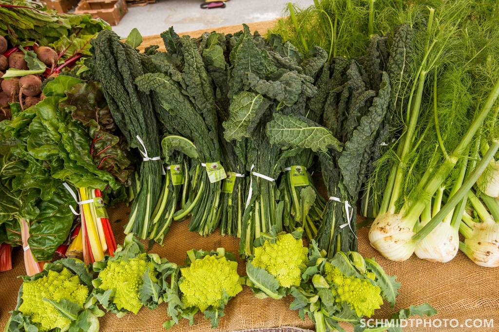 Wander with Tom Travel Blog San Diego Tourism schmidt photo - 36