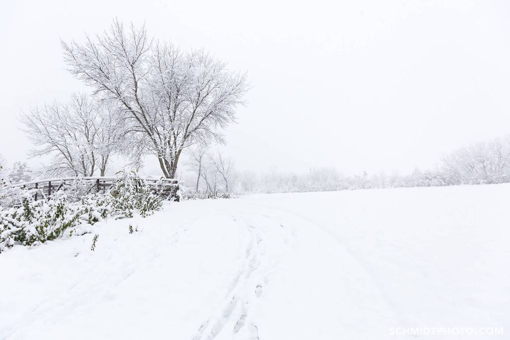 Tom Schmidt Photo in Buffalo Grove Chicago122