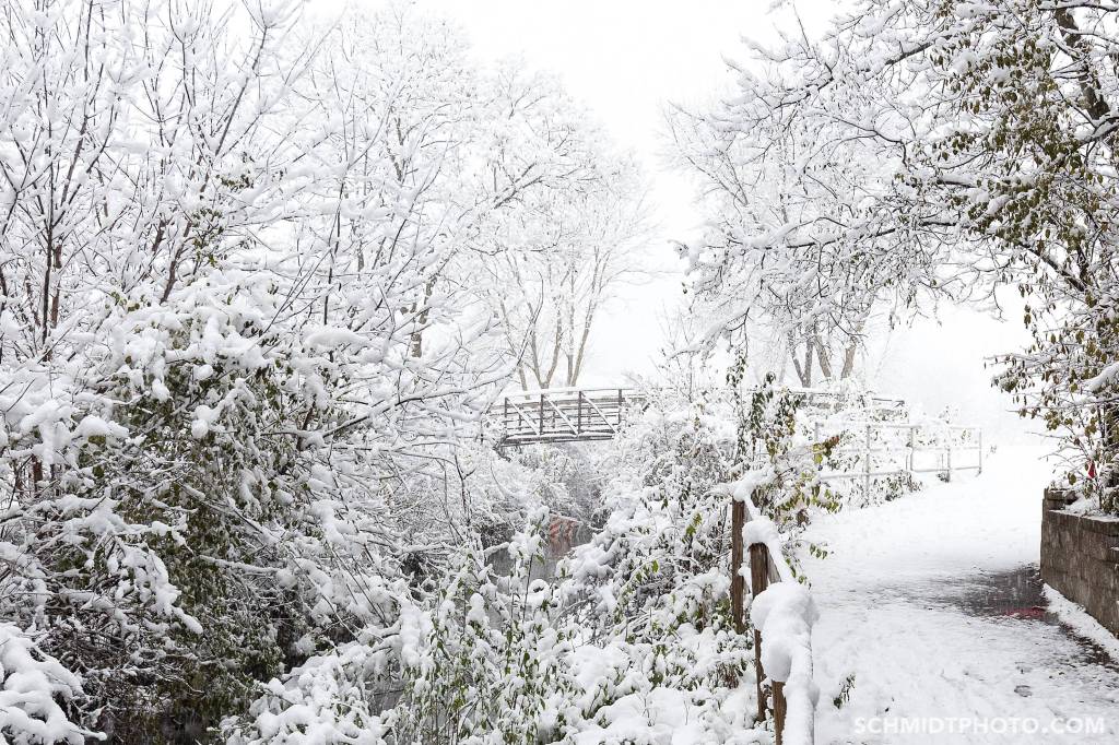 Tom Schmidt Photo in Buffalo Grove Chicago