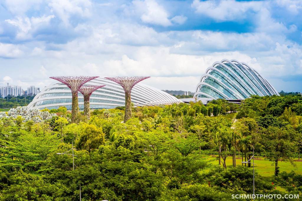 Singapore Island City Travel Blog Wander with Tom Schmidt Priscilla - 01