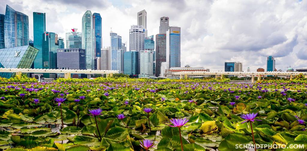 Singapore Island City Travel Blog Wander with Tom Schmidt Priscilla - 16