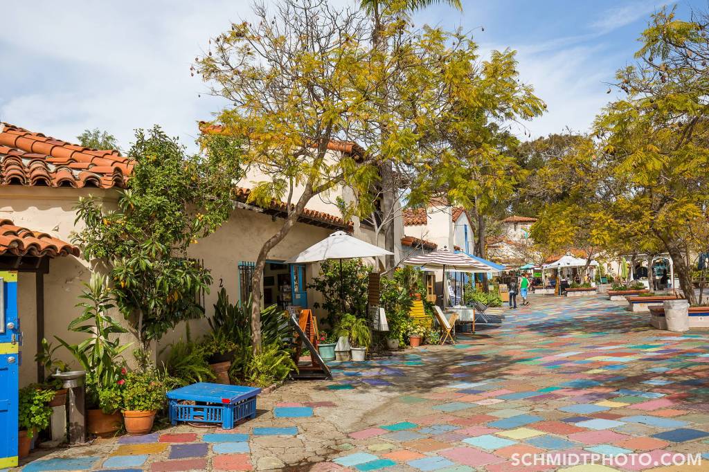 Wander with Tom Travel Blog San Diego Tourism schmidt photo - 33