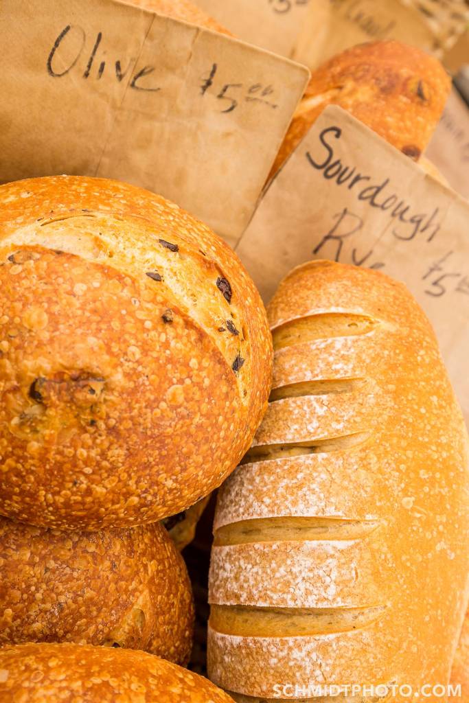 Wander with Tom Travel Blog San Diego Tourism schmidt photo - 35