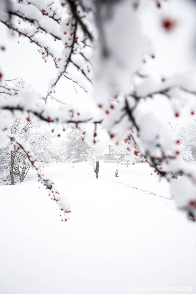 Tom Schmidt Photo in Buffalo Grove Chicago