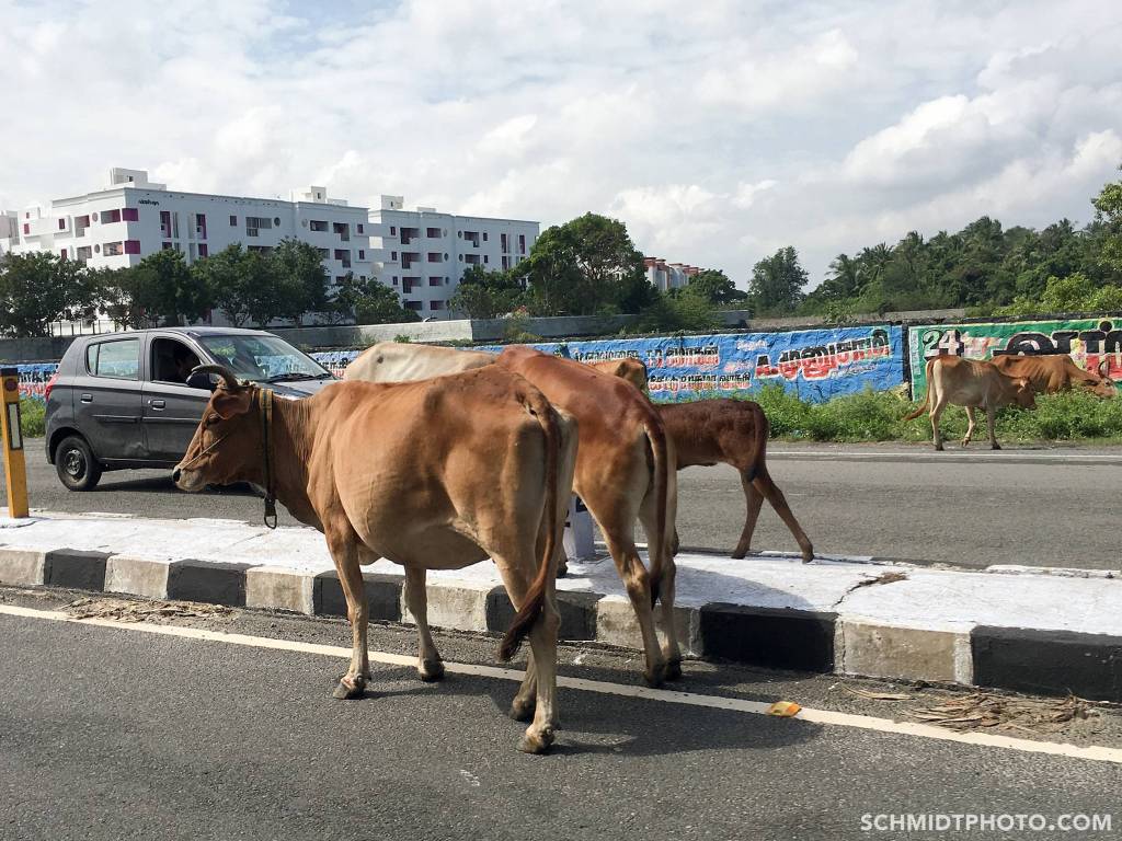 schmidt-photo-travel-pictures-eat-with-tom_0087